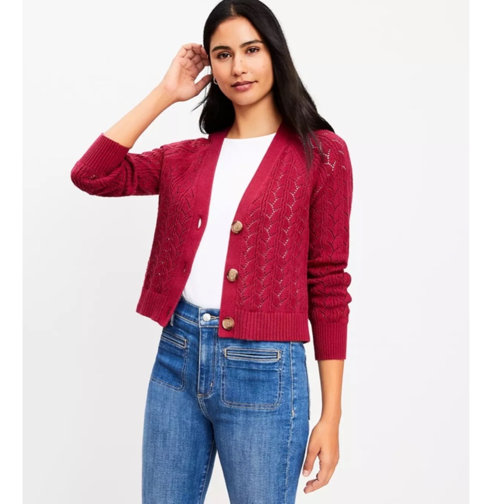 NWOT Loft Pointelle V-Neck Cardigan